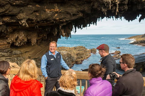 Kangaroo Island In A Day Tour From Adelaide - Attractions Sydney 3