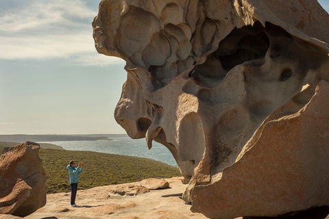 Kangaroo Island In A Day Tour From Adelaide - Attractions Sydney 5