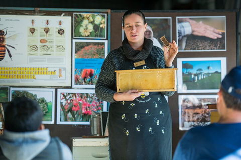 One Day Kangaroo Island Sip & See Tour With Return Ferry Transfers From Adelaide - Attractions Sydney 4