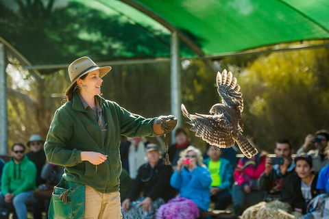 Full Day Kangaroo Island Sip And See Tour Departing From Kangaroo Island - Attractions Sydney 1