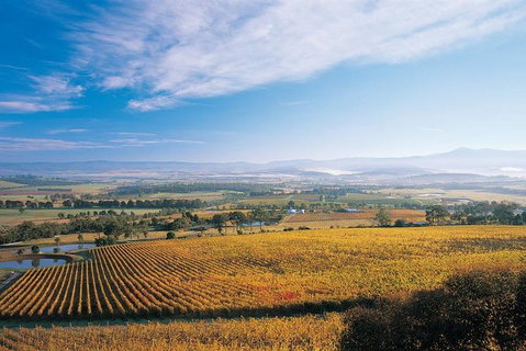 Melbourne City Tour And Half Day Yarra Valley In One Day - Attractions Sydney 5