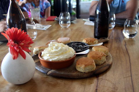 Small-Group Afternoon Cairns City Tour With Harbour Dinner Cruise - Attractions Sydney 3