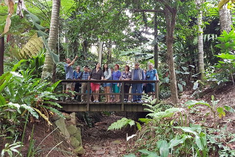 Cairns Shore Excursion: Cairns City Sights & Surrounds Tour - Attractions Sydney 1