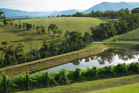 CHEVY CONVERTIBLE Package For 2 People- Wine Lunch Cheese & Chocolate From Melb. - Attractions Sydney 0