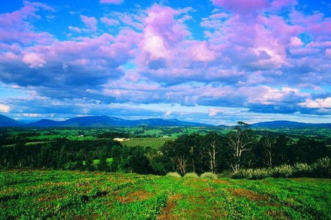 CHEVY CONVERTIBLE Package For 4 -Wine Lunch Cheese & Chocolate From Yarra Valley - Attractions Sydney 4