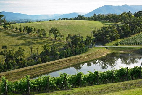 Yarra Valley Wine And Cider Tours By Classic Convertibles From Melbourne - Attractions Sydney 1