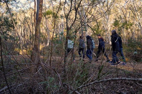 Wild Australian Wildlife 4WD Tour From Sydney - Attractions Sydney 0