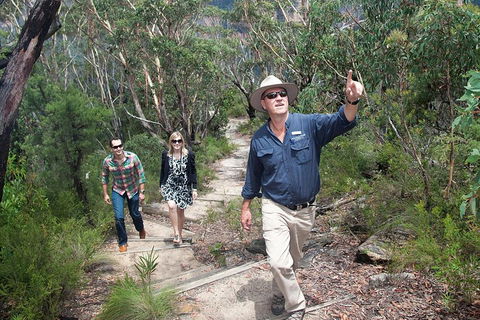 Small-Group Blue Mountains Tour With Bush Walks And Featherdale Wildlife Park - Attractions Sydney 0
