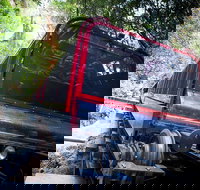 Blue Mountains Hop-on Hop-off Tour with Optional Scenic World Rides - Attractions Sydney