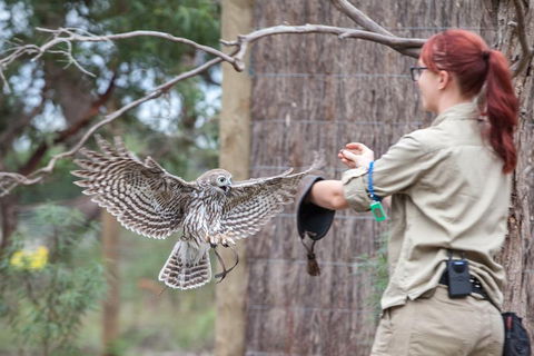 Moonlit Sanctuary Wildlife Conservation Park Daytime General Entry Ticket - Attractions Sydney 1