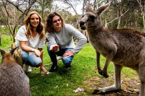 Moonlit Sanctuary Wildlife Conservation Park Daytime General Entry Ticket - Attractions Sydney 2