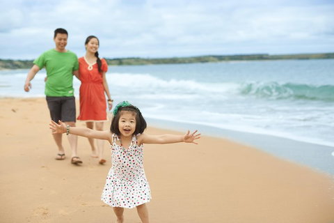 Phillip Island Penguin Parade Day Trip With Koala Conservation Reserve Visit - Attractions Sydney 5