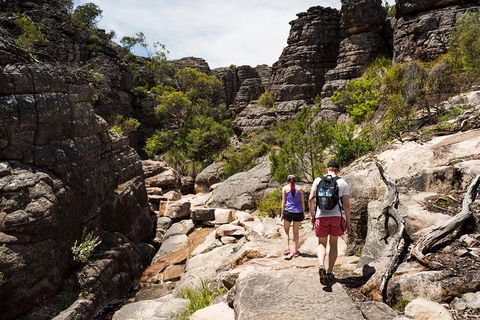 Grampians National Park With Kangaroos And MacKenzie Falls From Melbourne - Attractions Sydney 3