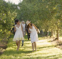 Yarra Valley Wine Tour with Local Harvest Tastings from Melbourne - Attractions Sydney