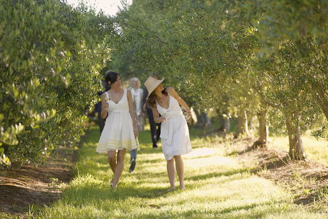 Yarra Valley Wine Tour With Local Harvest Tastings From Melbourne - Attractions Sydney 0
