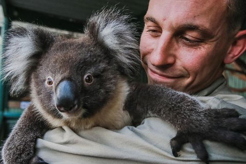 Kangaroos & Koala Encounter Experience (Half Day Private Tour) - Attractions Sydney 0