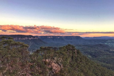 Blue Mountains Sunset Tour  Kangaroos  Koala Encounter Private Tour