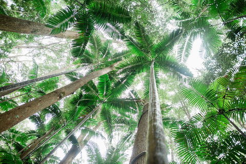 Fraser Explorer K'gari 2-Day Tour - Attractions Sydney 2