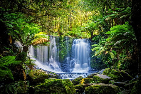 Day Tour In Mt. Field, Mt. Wellington, Bonorong Wildlife Sanctuary And Richmond - Attractions Sydney 0