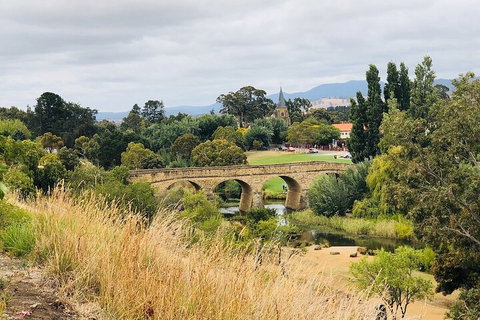 Day Tour In Mt. Field, Mt. Wellington, Bonorong Wildlife Sanctuary And Richmond - Attractions Sydney 3