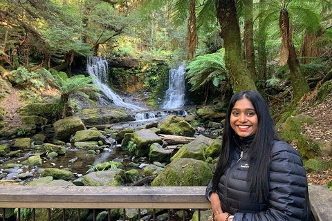 Day Tour In Mt. Field, Mt. Wellington, Bonorong Wildlife Sanctuary And Richmond - Attractions Sydney 5