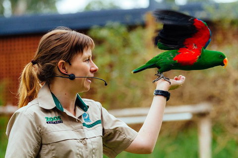 VIP Sanctuary Tour At Healesville Sanctuary Ticket - Attractions Sydney 0