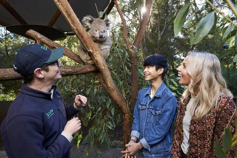 VIP Sanctuary Tour At Healesville Sanctuary Ticket - Attractions Sydney 1