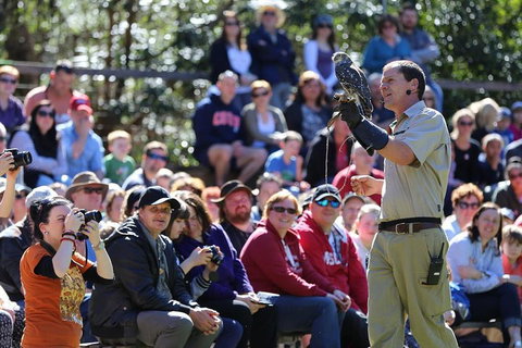 VIP Sanctuary Tour At Healesville Sanctuary Ticket - Attractions Sydney 4
