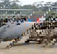 Off-Road Safari at Werribee Open Range Zoo - Attractions Sydney