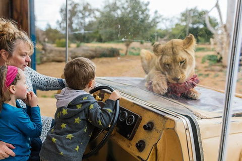 Werribee Open Range Zoo General Admission Ticket - Attractions Sydney 4
