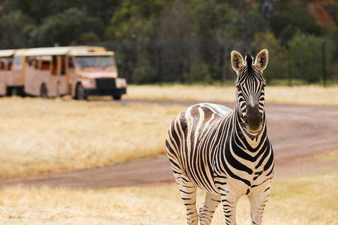 Werribee Open Range Zoo General Admission Ticket - Attractions Sydney 5