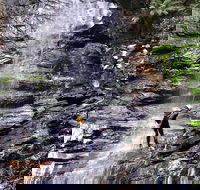 Full-Day Canyoning Experience at Stunning Empress Canyon - Attractions Sydney