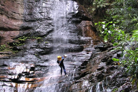 Full-Day Canyoning Experience At Stunning Empress Canyon - Attractions Sydney 0