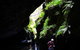 Full-Day Canyoning Experience At Stunning Empress Canyon - thumb 2