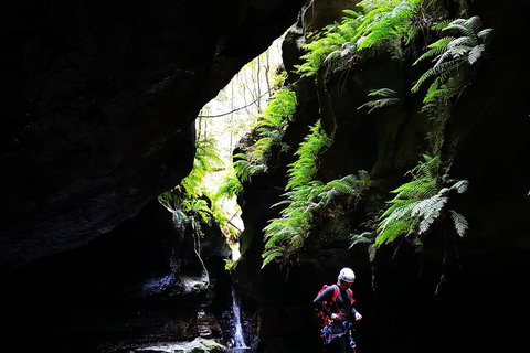 Full-Day Canyoning Experience At Stunning Empress Canyon - Attractions Sydney 2
