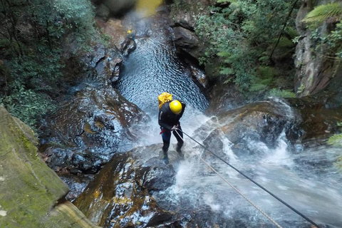 Full-Day Canyoning Experience At Stunning Empress Canyon - Attractions Sydney 4