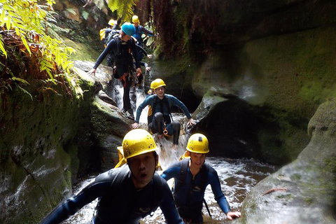Full-Day Canyoning Experience At Stunning Empress Canyon - Attractions Sydney 5