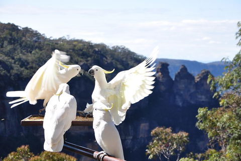 Private Blue Mountains Tour - Attractions Sydney 1