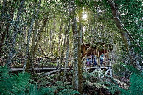 Private Blue Mountains Tour - Attractions Sydney 4
