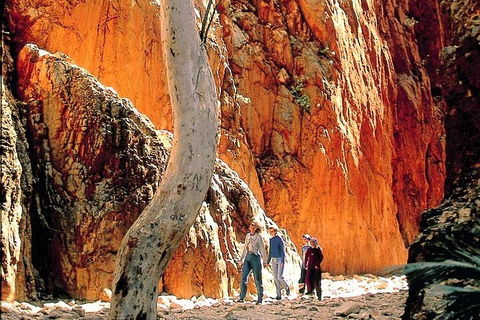 West MacDonnell Ranges Day Trip From Alice Springs - Attractions Sydney 3