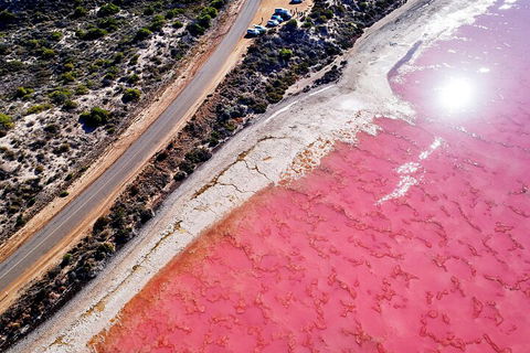 7-Day Exmouth Explorer Via Pinnacles Monkey Mia Ningaloo Reef Returning To Perth - Attractions Sydney 0