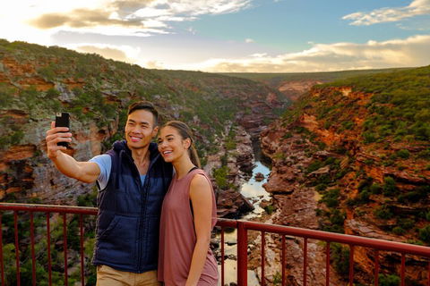 7-Day Exmouth Explorer Via Pinnacles Monkey Mia Ningaloo Reef Returning To Perth - Attractions Sydney 5