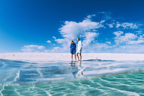 4-Day Coastal Loop Via Monkey Mia Wild Dolphins Kalbarri Pinnacles Perth Return - Attractions Sydney 0