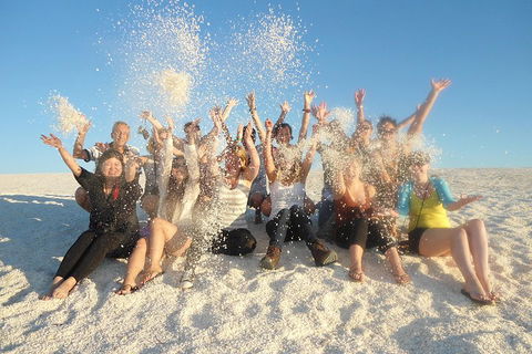 4-Day Coastal Loop Via Monkey Mia Wild Dolphins Kalbarri Pinnacles Perth Return - Attractions Sydney 1