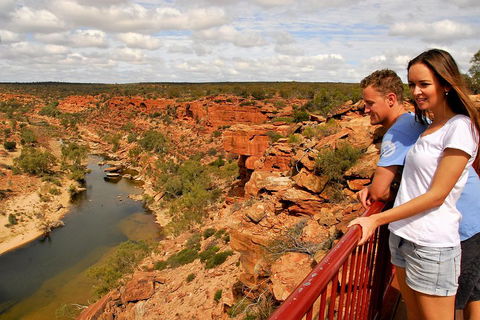 4-Day Coastal Loop Via Monkey Mia Wild Dolphins Kalbarri Pinnacles Perth Return - Attractions Sydney 3