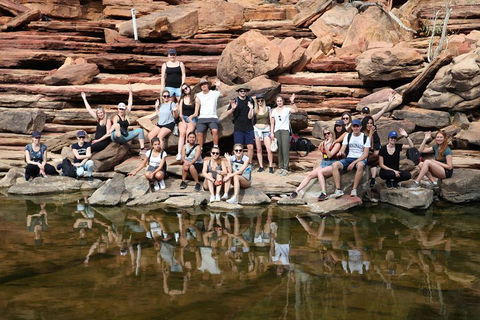 6-Day Coral Coaster From Perth To Exmouth One-Way Via Monkey Mia Ningaloo Reef - Attractions Sydney 2