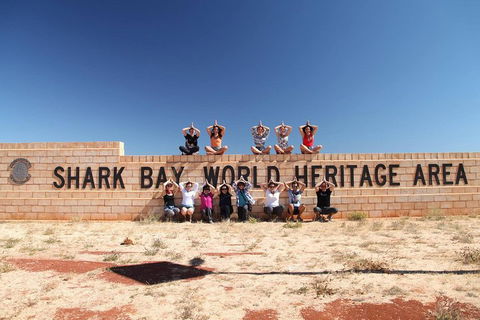 6-Day Coral Coaster From Perth To Exmouth One-Way Via Monkey Mia Ningaloo Reef - Attractions Sydney 4