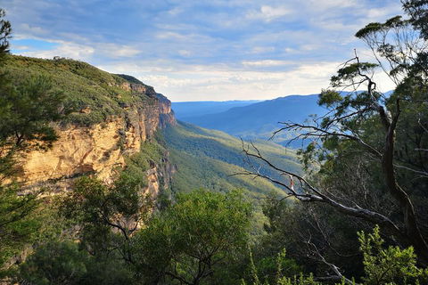 Sunset Blue Mountains Wilderness & Wildlife Tour Without The Crowds - Attractions Sydney 2
