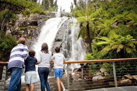 Lake Mountain Snow Trip Including Yarra Valley Chocolaterie From Melbourne - Attractions Sydney 0