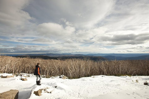 Lake Mountain Snow Trip Including Yarra Valley Chocolaterie From Melbourne - Attractions Sydney 5